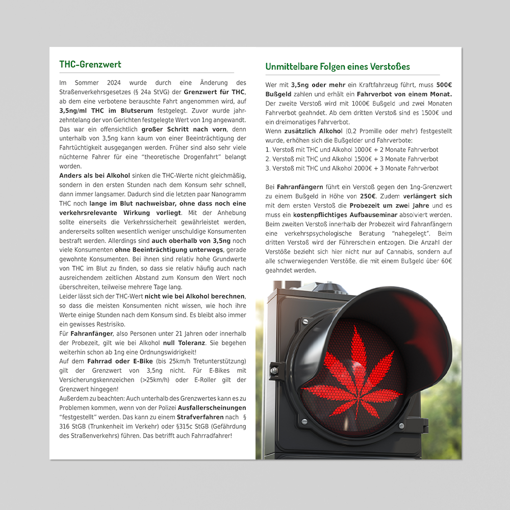 25 Flyer "Cannabis und Führerschein" – Bild 4