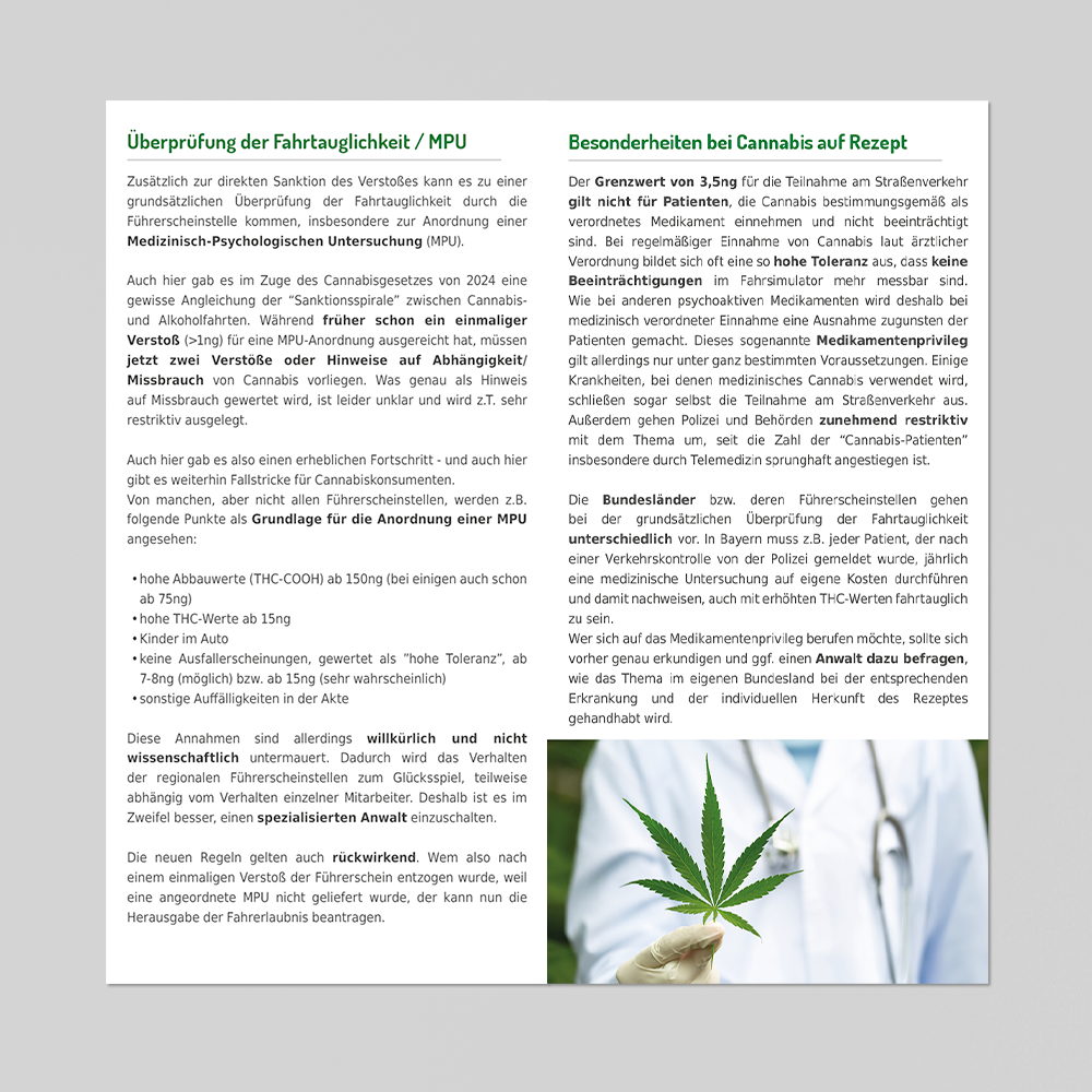 25 Flyer "Cannabis und Führerschein" – Bild 3