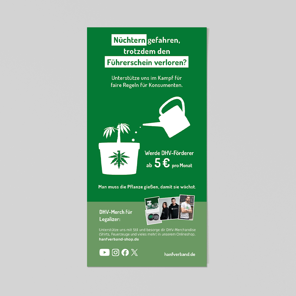 25 Flyer "Cannabis und Führerschein" – Bild 5
